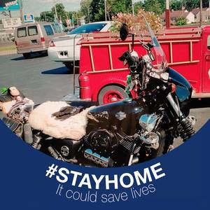 Meet your Posher, Robert